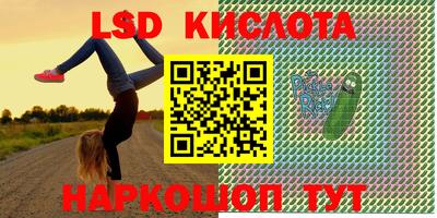 стафф Донецк