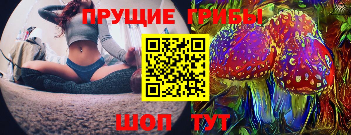 Псилоцибиновые грибы Psilocybe Новочеркасск